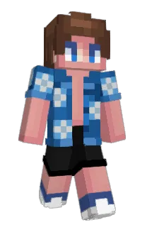 Front of BrailTeq's skin