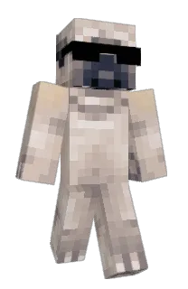 Front of dxshy's skin
