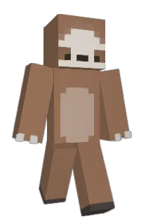Front of Minecraft skin