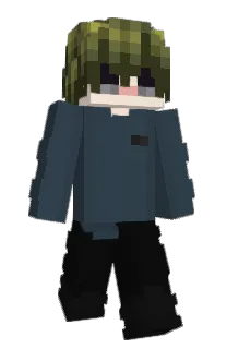 Front of Debitto's skin
