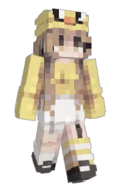 Skin preview