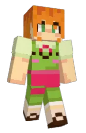 Skin preview
