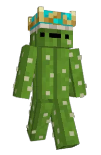 Front of graveroses's skin