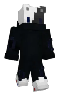 Front of Seuche's skin