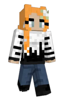 Dmj1611's Minecraft skin