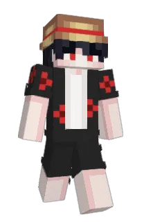 Front of Minecraft skin