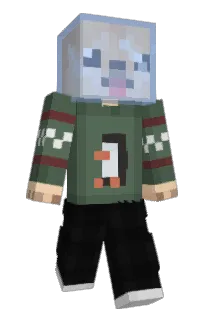Front of Hoaak's skin