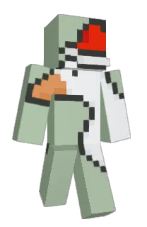 Front of GOose750's skin
