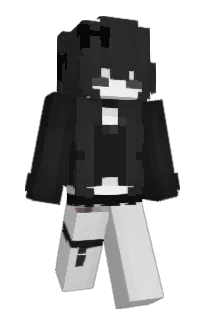 Front of v4l2's skin