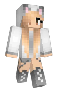 N1gger's Minecraft skin