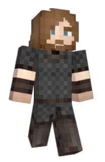 VSM's Minecraft skin