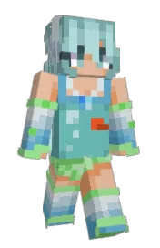 Skin preview