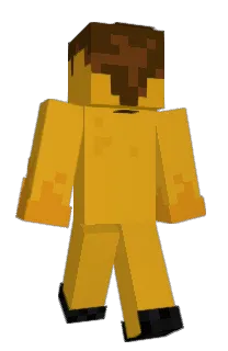 shordfish's Minecraft skin