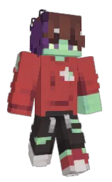 chestnut and black Minecraft skin — Classic model