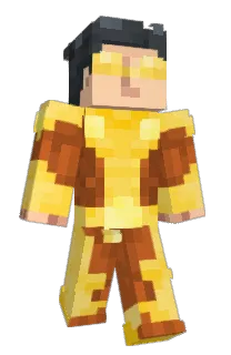 Front of InvalidV8's skin