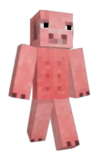 Zzoyi's Minecraft skin