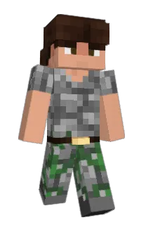 Front of vidsmate's skin