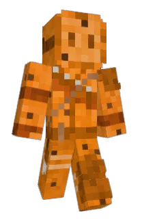 Front of poxve's skin