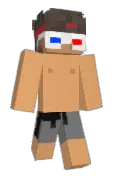 forzinbr
