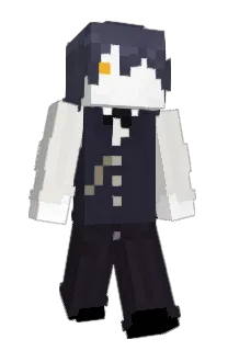 Front of pokuls's skin