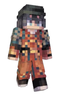 Front of Tickast's skin