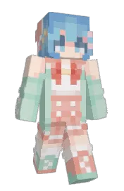Skin preview