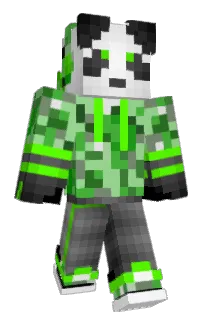 Front of BorgoBrakkel's skin