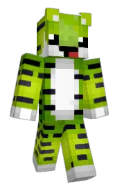 Skin preview