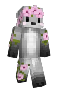 Front of Diligord's skin