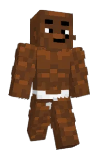 Front of CGeco's skin