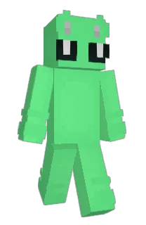 Front of Vibbing's skin