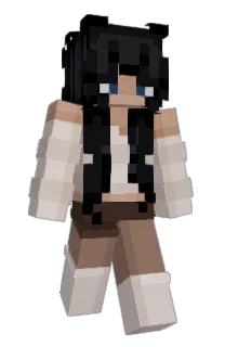 Front of Tobystropheus's skin