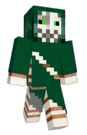 Skin preview