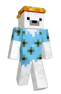 Front of Saajka's skin