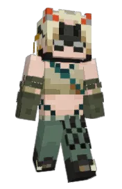 Skin preview