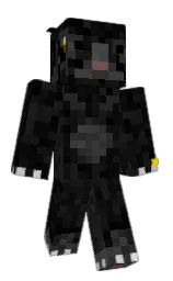 Minecraft skin — Classic model