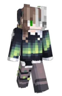 Front of erzo_'s skin