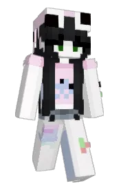 Skin preview