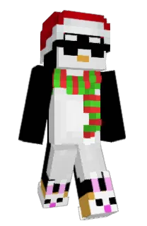 Front of elvasi's skin