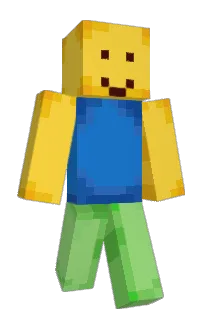 Front of yogbi's skin