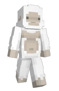 Front of Minecraft skin