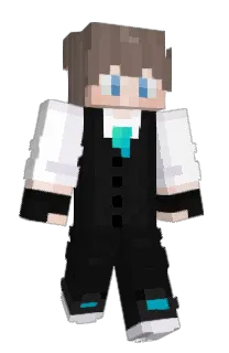 Front of T10708's skin