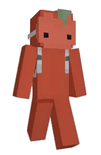 Front of 35BZ's skin