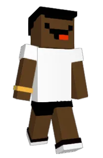 Front of ByPasseada's skin