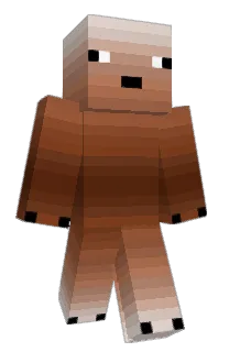 Front of Minecraft skin