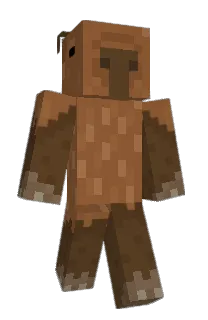 Front of Minecraft skin