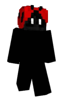 Front of iPhoneXI's skin