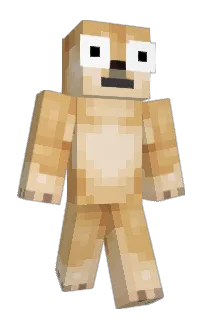Front of DivineSpringroll's skin