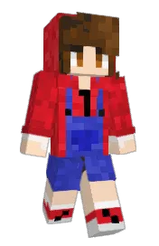 Skin preview