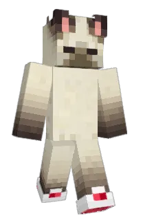 Front of jaes000n's skin